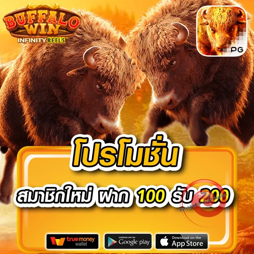 เว็บไซต์เกมสล็อต